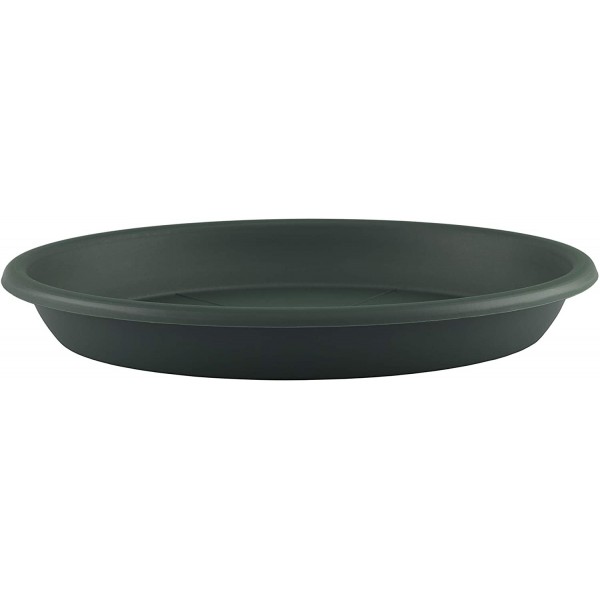 PLATO 30CM VERDE OSCURO PLATO 30CM VERDE OSCURO
