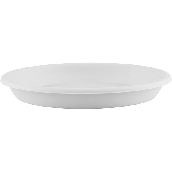 PLATO 40CM BLANCO PLATO 40CM BLANCO