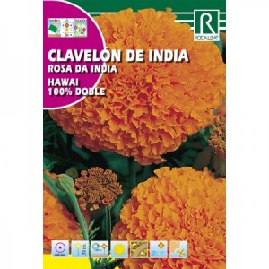 CLAVEL DE INDIA HAWAII 100% DOBLE SEMILLA