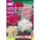 CLAVEL FLORISTAS RAMILLETE DOBLE VARIADO SEMILLA