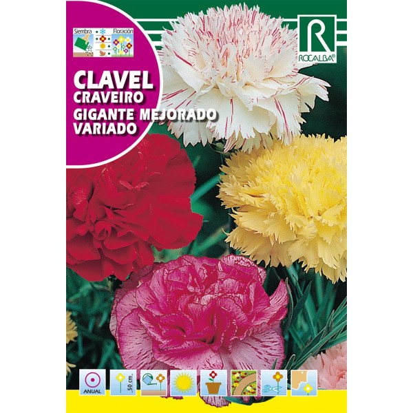 CLAVEL GIGANTE MEJORADO VARIADO SEMILLA