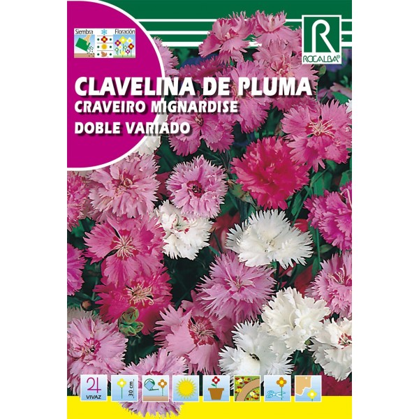 CLAVELINA DE PLUMA DOBLE VARIADO (CLAVEL PLUMARIO) SEMILLA