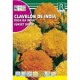 CLAVELON DE INDIA SUNSET DOBLE SEMILLAS