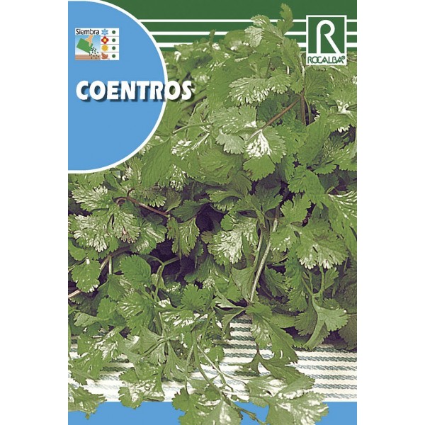 COENTROS SEMILLA