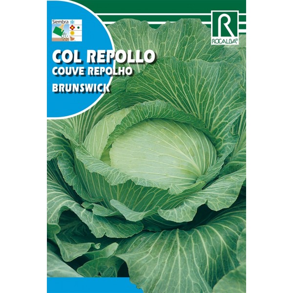 COL REPOLLO BRUNSWICK SEMILLA