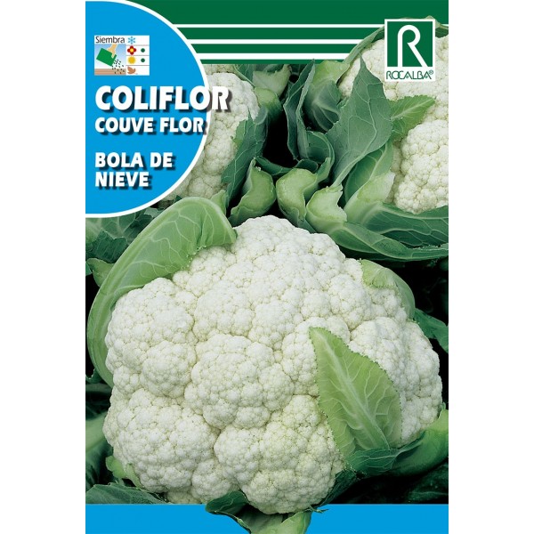 COLIFLOR BOLA NIEVE SEMILLA