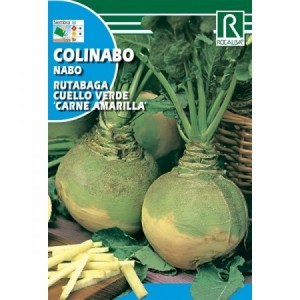 COLINABO RUTABAGA DE CUELLO VERDE "CARNE AMARILLA" SEMILLA