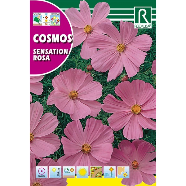 COSMOS SENSATION ROSA SEMILLA