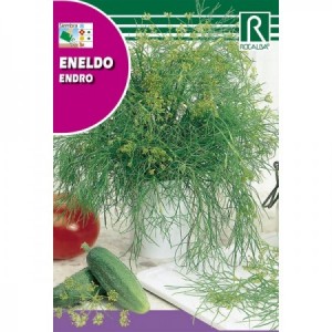 ENELDO SEMILLA