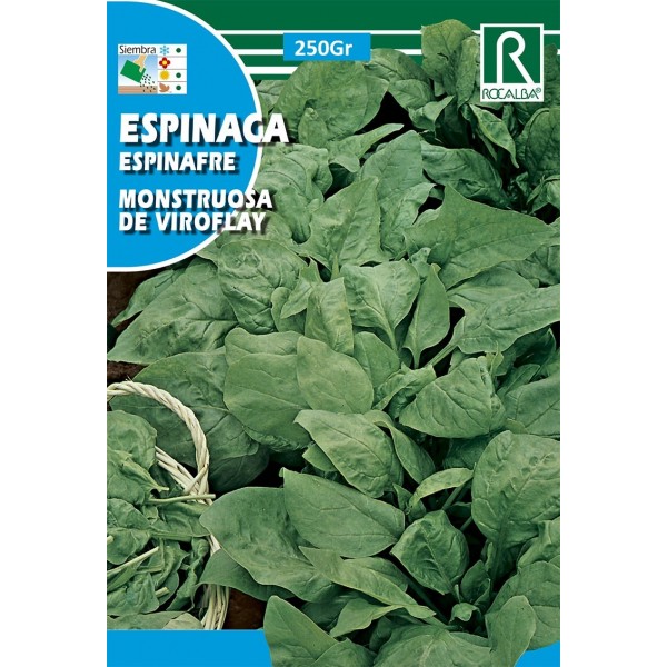 ESPINACA MONSTRUOSA DE VIROFLAY 250GR SEMILLA