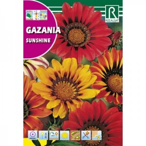 GAZANIA SUNSHINE SEMILLA