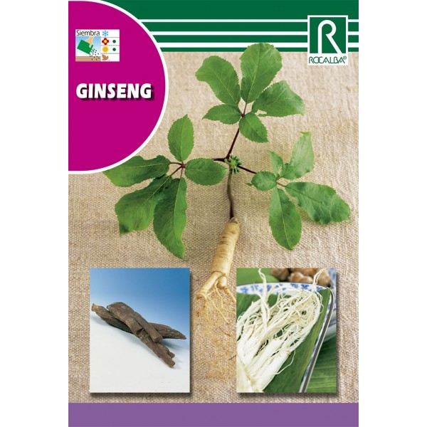 GINSENG SEMILLA