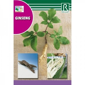 GINSENG SEMILLA