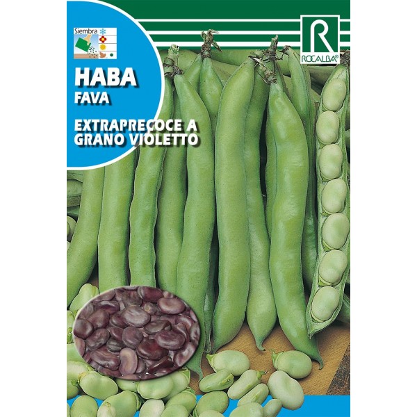 HABA EXTRA PRECOCE A GRANO VIOLETTO 1KG SEMILLA ROCALBA