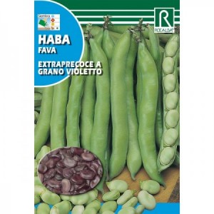 HABA EXTRA PRECOCE A GRANO VIOLETTO 1KG SEMILLA ROCALBA