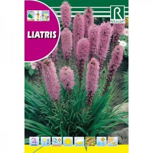 LIATRIS SEMILLA