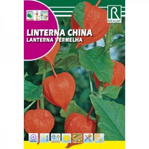 LINTERNA CHINA SEMILLA