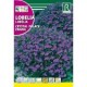 LOBELIA CRYSTAL PALACE ENANA SEMILLA