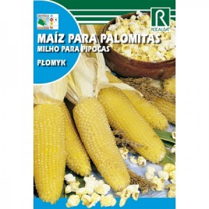 MAIZ PALOMITAS F-1 PLOMYK SEMILLA