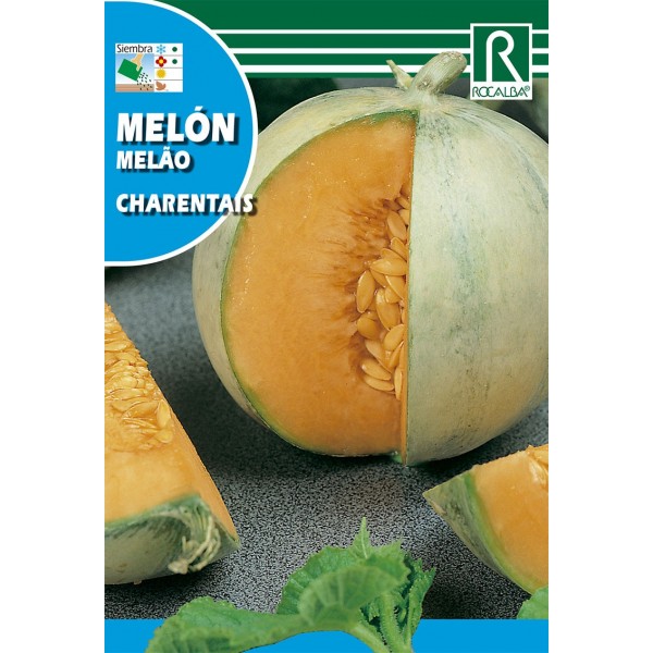 MELON CANTALOUP CHARENTAIS SEMILLA