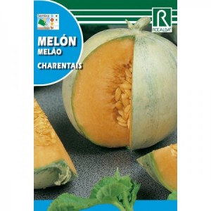 MELON CANTALOUP CHARENTAIS SEMILLA