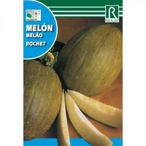 MELON ROCHET SEMILLA