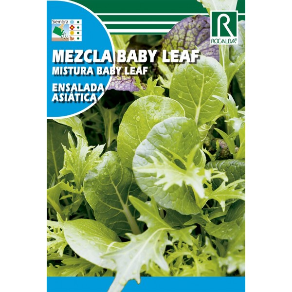 MEZCLA BABY LEAF LECHUGAS ENSALADA ASIATICA SEMILLA