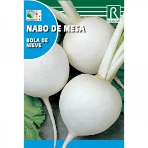 NABO DE MESA BOLA DE NIEVE SEMILLA