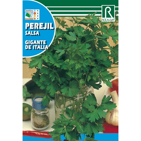 PEREJIL GIGANTE DE ITALIA SEMILLA