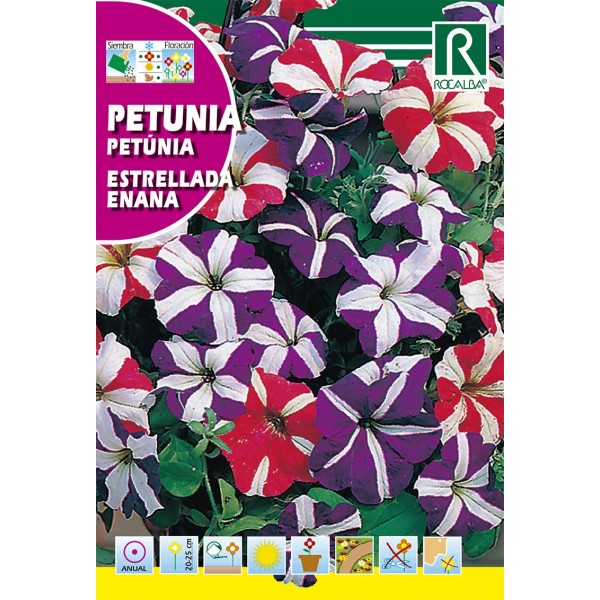 PETUNIA ESTRELLADA ENANA SEMILLA