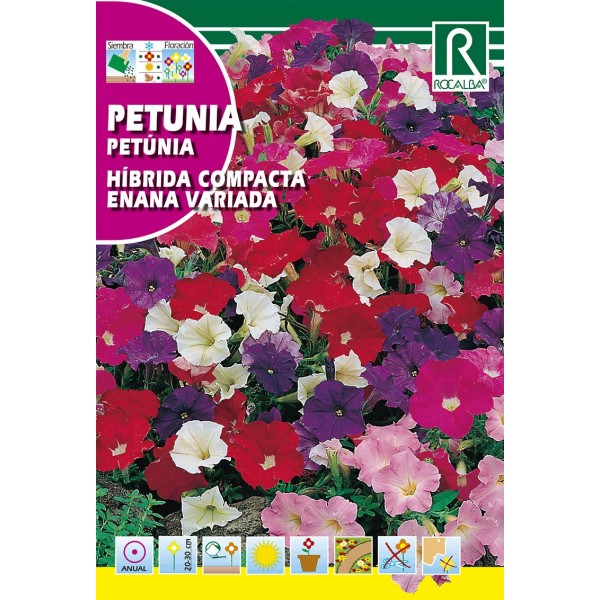 PETUNIA HIBRIDA ENANA COMPACTA SEMILLA