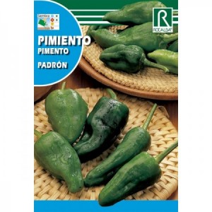 PIMIENTO DE PADRON SEMILLA