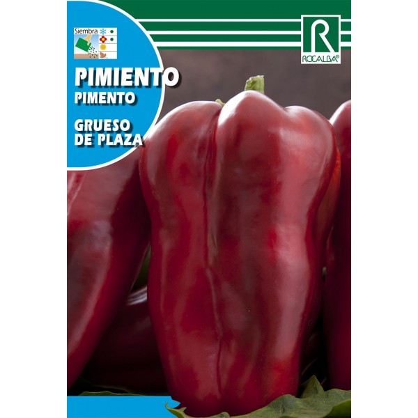 PIMIENTO GRUESO DE PLAZA 2 SEMILLA