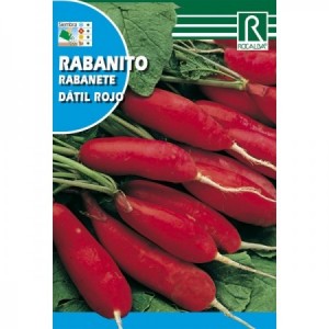 RABANITO DATIL ROJO SEMILLA