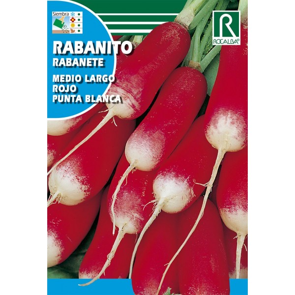 RABANITO MEDIO LARGO ROJO PUNTA BLANCA SEMILLA