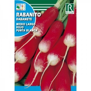 RABANITO MEDIO LARGO ROJO PUNTA BLANCA SEMILLA