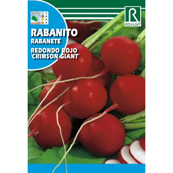 RABANITO REDONDO ROJO CRIMSON GIANT SEMILLA