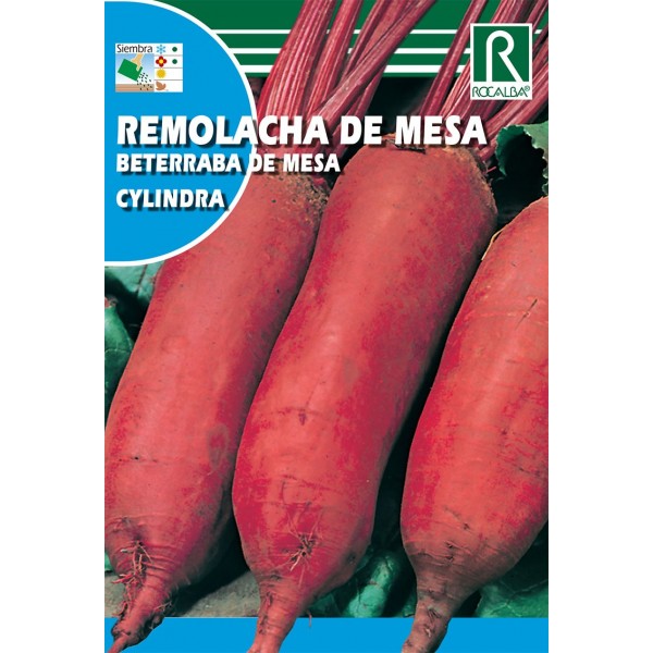 REMOLACHA DE MESA CYLINDRA SEMILLA