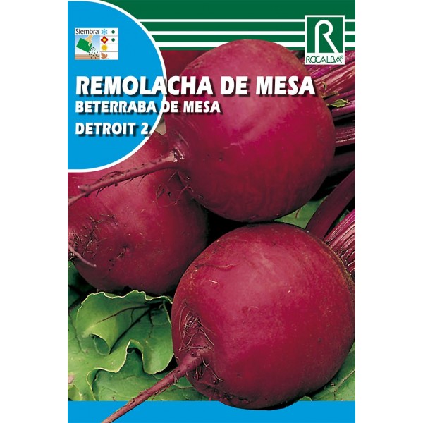 REMOLACHA DE MESA DETROIT 2 SEMILLA