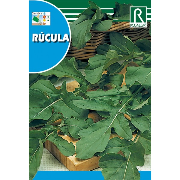 RUCULA SEMILLA