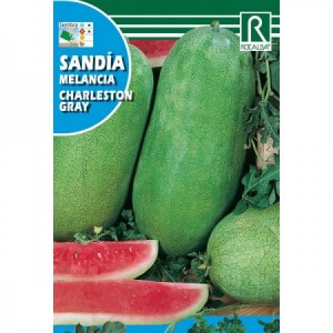 SANDIA CHARLESTON GRAY SEMILLA