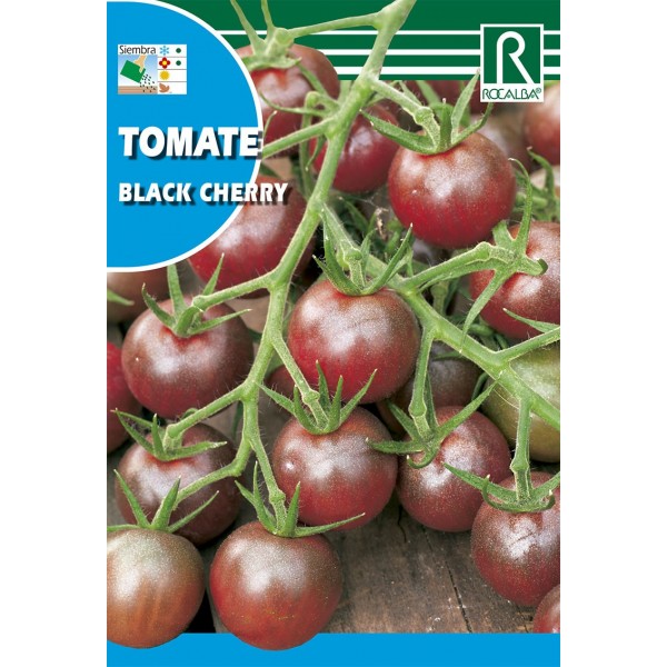 TOMATE BLACK CHERRY SEMILLA