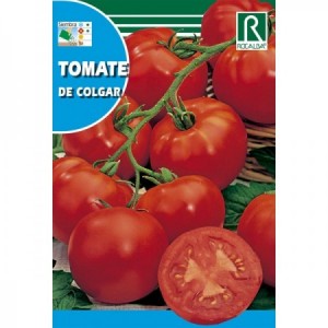 TOMATE DE COLGAR SEMILLA