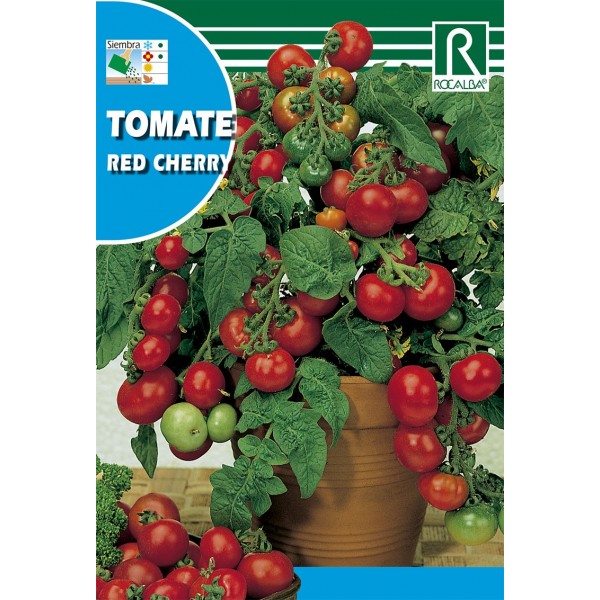 TOMATE RED CHERRY SEMILLA