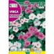 VINCA PERVENCHE DE MADAGASCAR SEMILLA