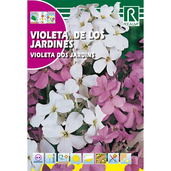 VIOLETA DE LOS JARDINES SEMILLA