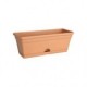 Green basics trough mini 30cm MILD TERRA